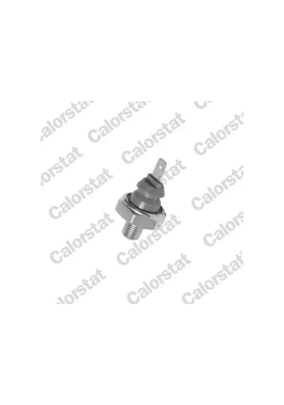 Audi A6 C5 Yag Musiri 2.4 2002-2004 Calorstat Vernet Os3529