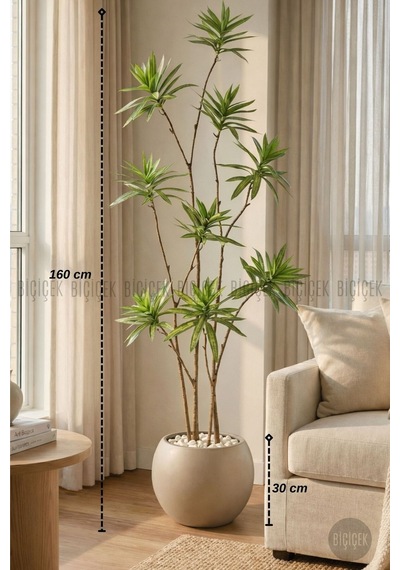 Biçiçek Yapay Dragon Bi̇tki̇si̇ 160 Cm Antresi̇t Mocha Saksıda