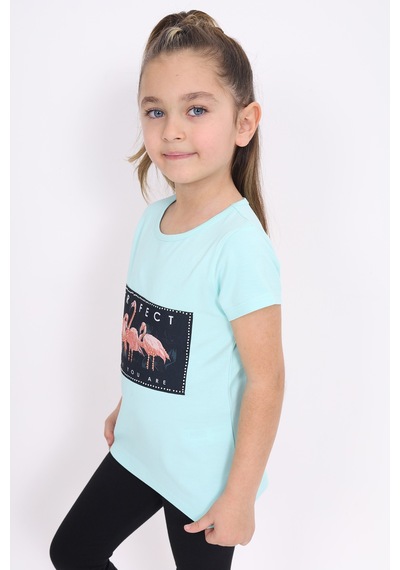 Toontoy Kids Toontoy Kız Çocuk Flamingo Baskılı Tişört Mint Yeşili Toontoy Kids Toontoy Kız Çocuk Flamingo Baskılı Tişört Mint Yeşili