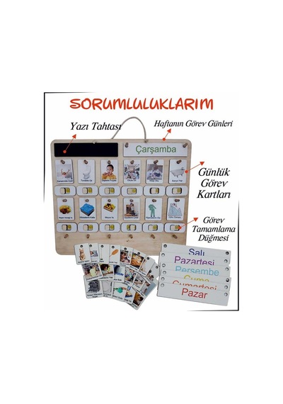 Ankebut Sorumluluk Büyük Boy 31494
