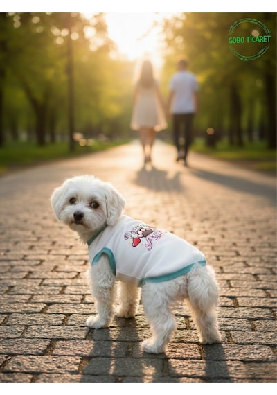 Beyaz Renkli Patili Aşk Baskılı Kedi Ve Köpek Kıyafeti Tişörtü Elbisesi Large/l/beden 3