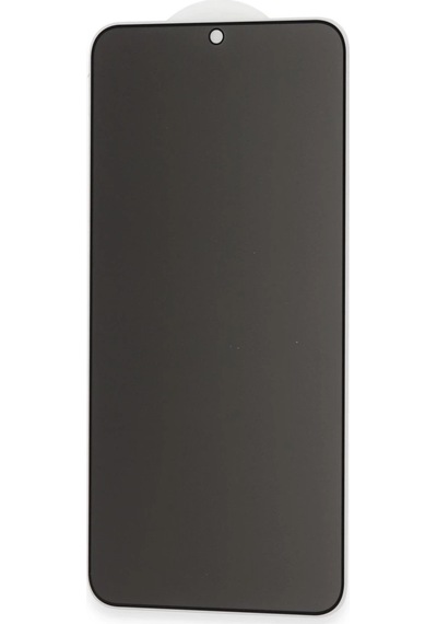 Samsung Galaxy S22 Plus Hayalet Edge Cam Ekran Koruyucu
