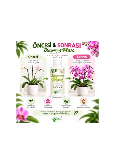 Blossoming Max Bitki Besini Dal Çiçeklenme Gelişim Desteği 200 Ml