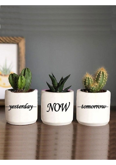 Home Sweet Home Sukulent Ve Ya Kaktüs Saksısı Hediyelik Mutfak