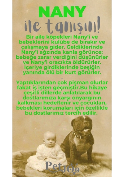 Petjoo 17.Nany Gri-Yeşil Qr'lı Köpek Künyesi