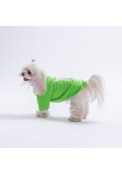 Green-yeşil Yourself Love Sweat Kedi Köpek Sweati - Kedi Köpek Kıyafeti