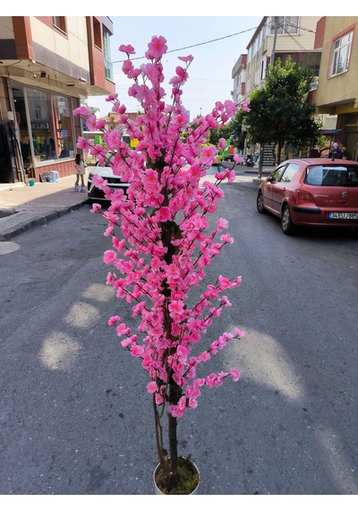 Rüzgar Yapay Çiçekçilik 175 Cm Beyaz Saksida Pembe Bahardali Ağacı Pembe