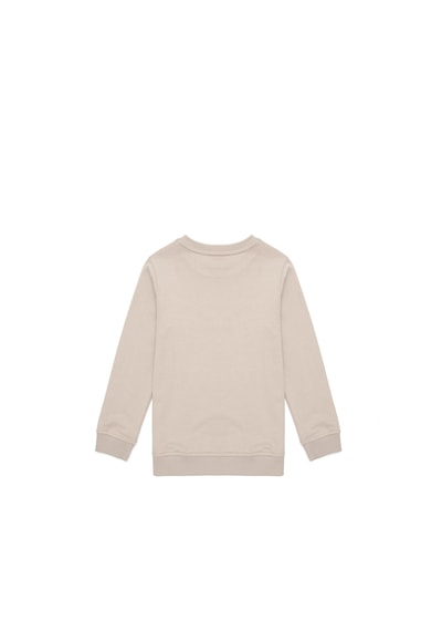 U.S. Polo Assn.  Erkek Çocuk Taş Bisiklet Yaka Sweatshirt 50289143-VR049