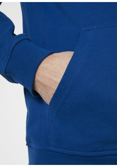 Helly Hansen Hh Logo Hoodie Erkek Lacivert Kapüşonlu Sweatshirt 33977-606