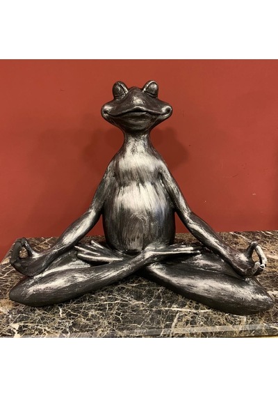 By Ri Yogacı Kurbağa Bd189-4
