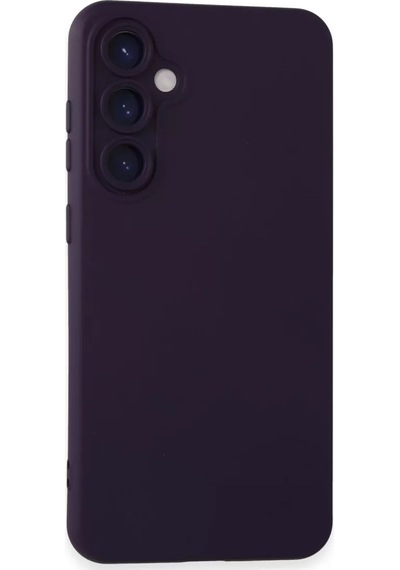 Newface Samsung Galaxy S24 Kılıf Nano İçi Kadife Silikon - Mor