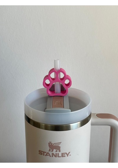 Pati Koruyucu Model Pipet Süsü Termos Uyumlu Quencher İle Uyumlu Pembe