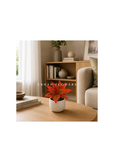 Yapay Kırmızı Croton Calathea 48 Cm - Dekoratif Vazo İçi Islak Dokulu Yaprak Dalı Saksısız