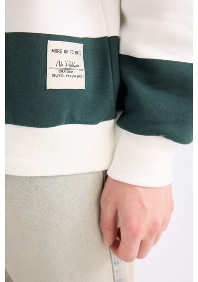 DeFacto Boxy Fit Bisiklet Yaka Çizgili Sweatshirt A9066AX24AUGN536 Yeşil DeFacto Boxy Fit Bisiklet Yaka Çizgili Sweatshirt A9066AX24AUGN536 Yeşil
