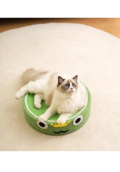 Kuara Kurbağa Kedi Tırmalama Alanı Eğlenceli ve Fonksiyonel Tasarım
