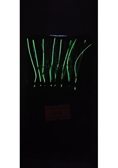 Çapari Alemi Üst Kalite Glow Simler İle Mor Kombin