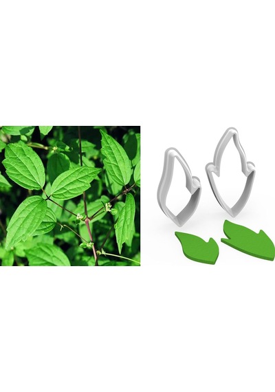 Yabanasması Yaprak Kesici Set 2 Parça