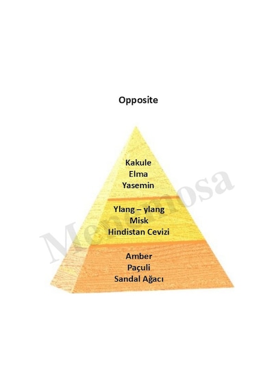 Bargello Opposıte + Opposıte Erkek Parfüm Edp Oriental - Mnmsoppo2 Aromatik
