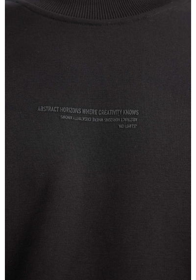 DeFacto Boxy Fit Bisiklet Yaka Baskılı Sweatshirt X8282AZ23AUBK81