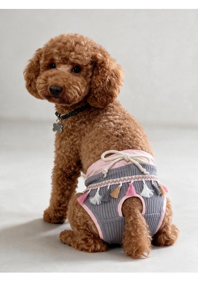 Mini Tassel Lilly Dişi Köpek Regl Külotu Köpek Donu Köpek İç Çamaşırı Pet Kıyafet Küçük Irklar İçin