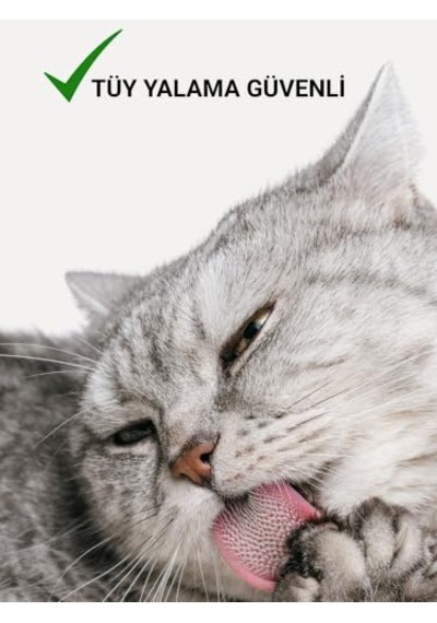 Ayrex Greenwich Hassas Bakım Kedi Ve Köpek Şampuanı 200 Ml %99,74 Organik İçerikli Vegan Şampuan / Hassas Cilt