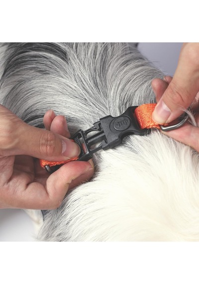 M-pets Wıld Jungle Harness S Çok Renkli