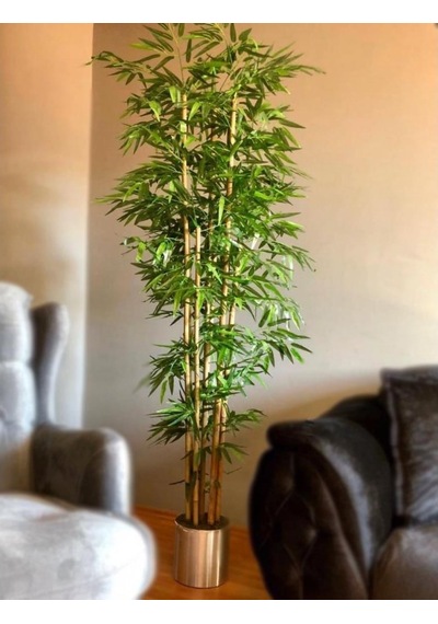 Yapay Bambu Ağacı 2 Metre Yoğun Yapraklı Galvaniz Saksılı