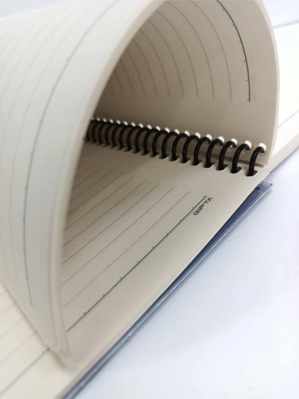 Artmaster Çizgili Inci Küpeli Kız Defter Karışık