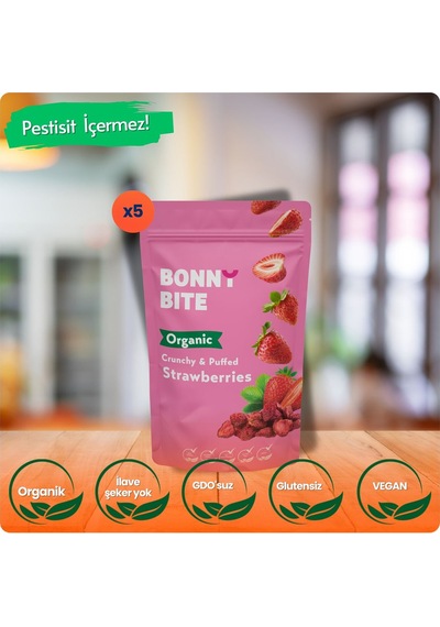 Kurutulmuş Çıtır Çilek Atıştırmalığı 5'li Paket 18gr 5 Diğer