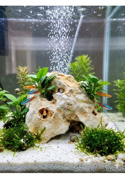 Akvaryum Taşı Moonstone Aytaşı Delikli Bahçe Ve Akvaryum Dekorasyon Doğaltaş