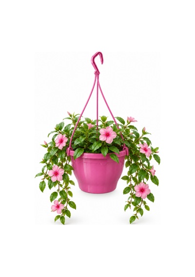 Pembe Fuşya Askılı Saksı 4.5 Lt 10 Adet 24.7x15.2 Cm