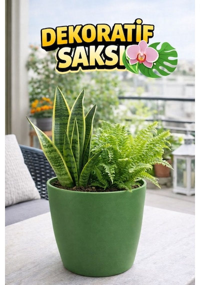 Orkide Saksısı Koyu Yeşil Dekoratif Dış Saksı 1 Adet- 12 Pot Şeffaf Orkide Üretim Saksısı Hediyeli