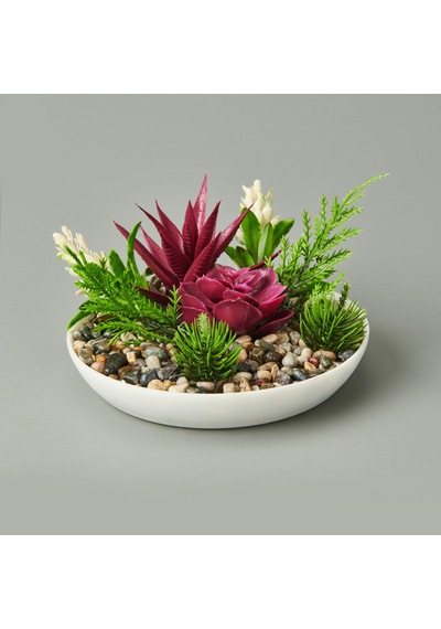 Dekor Aranjman Sukulent - Asorti - 15x10 Cm Çok Renkli