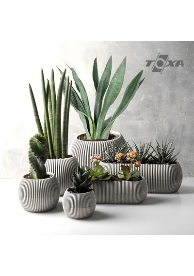 Mercan Saksı Set Dekoratif Drenajlı Çizgili Mat 6 Parça, Bej