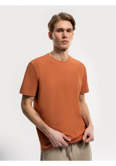 Regular Fit Erkek Tshirt K.kol Gınger
