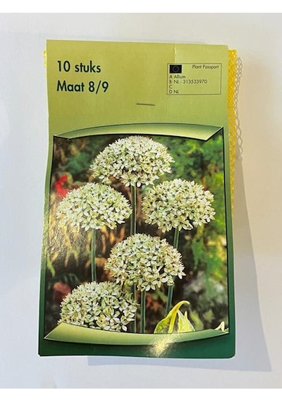 Allium Multibulbosum Lale Soğanı 10 Adet