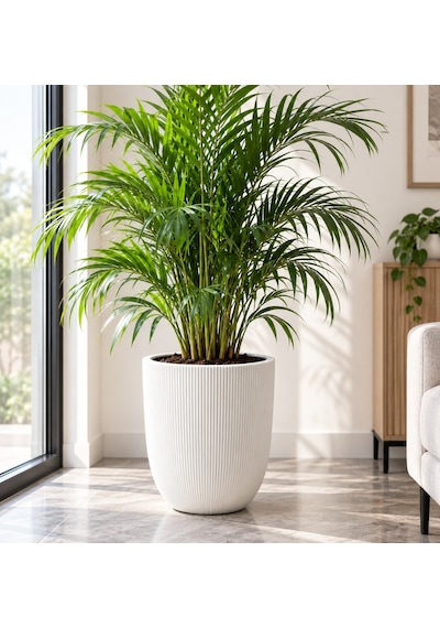 So-palm3 Palmiye Dekoratif Plastik Saksı İç Kovalı 30 Lt Beyaz 4 Adet -