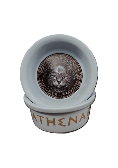 Raccoon Olimpos Serisi Athena Seramik Mama Ve Su Kabı 300ml