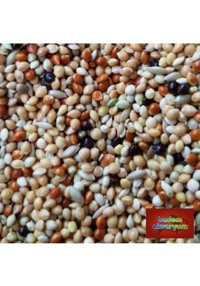 Karısık Muhabbet Kusu Yemı 400 Gr Açık