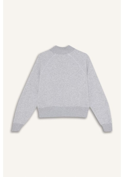 Defacto Loose Fıt Baskılı Fermuarlı Sweatshirt G8117ax26spgr256 Gri-gr256