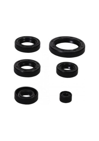 Agk Cg 125-150-200 Keçe Takımı 6 Lı