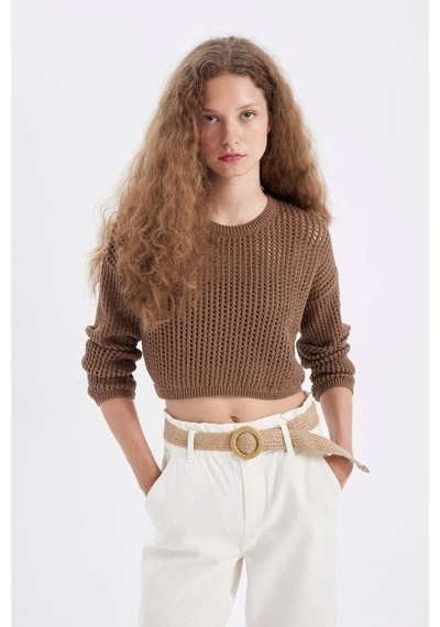 Defacto Regular Fit Bisiklet Yaka Kroşe Ajurlu Delikli Crop Triko Kazak T4513AZ24AUBG111 Bej