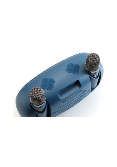 Tg Tg542dk Usb/sd/fm/bluetooth Destekli Taşınabilir 2 El Mikrofon