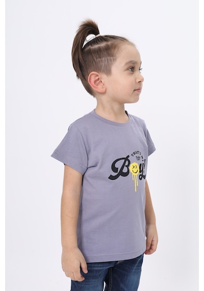 Toontoy Kids Toontoy Erkek Çocuk Bisiklet Yaka Kısa Kollu Baskılı Tişört 24103 Gri