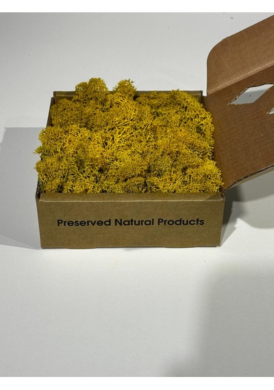 Reindermoss Şoklanmış Norveç Yosunu Terarium Yosunu Sarı 100 Gr.
