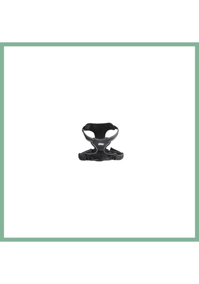 Pawise Easy Walking Köpek Göğüs Tasması Xlarge Bsk2026 Çok Renkli