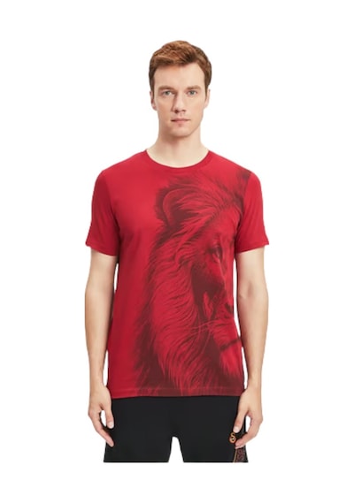 Gsstore Galatasaray Lisanslı Aslan Baskılı Sarı T-shirt Bayrak Ve Lazer Kutu Hediyeli Kırmızı