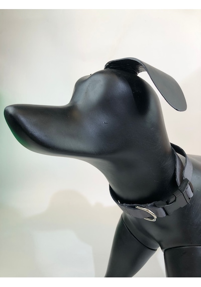 Mita Ayarlanabilir Köpek Boyun Tasması Antrasit