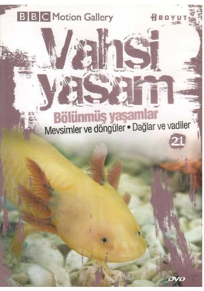 Bbc Motion Gallery - Vahşi Yaşam Bölünmüş Yaşamlar Mevsimler Ve Döngüler Dağlar Ve Vadiler - Dvd
