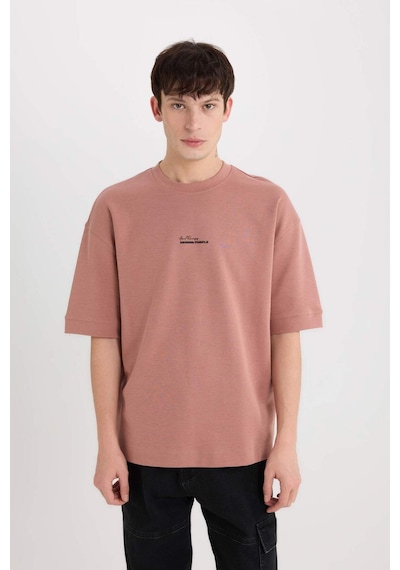 DeFacto Loose Fit Bisiklet Yaka Baskılı Ağır Kumaş Tişört D8462AX25SPBR165 DeFacto Loose Fit Bisiklet Yaka Baskılı Ağır Kumaş Tişört D8462AX25SPBR165
